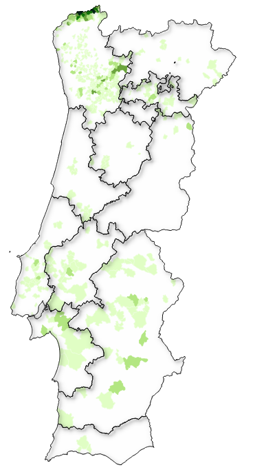 Mapa de Portugal com a região do Minho destacada a verde, indicando 100% da produção nacional da casta Alvarinho