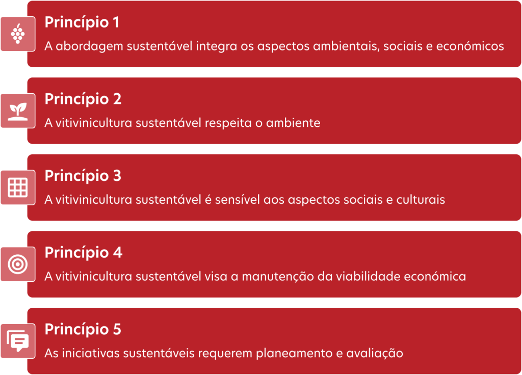 Os 5 princípios da vitivinicultura sustentável: abordagem integrada (ambiental, social e económica), respeito pelo ambiente, sensibilidade social e cultural, viabilidade económica, e planeamento e avaliação das iniciativas