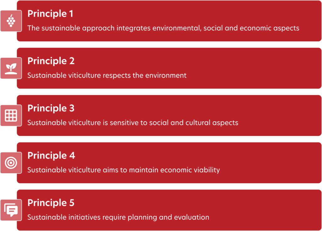 The 5 principles of sustainable winegrowing: integrated approach (environmental, social and economic), respect for the environment, social and cultural sensitivity, economic viability, and planning and evaluation of initiatives