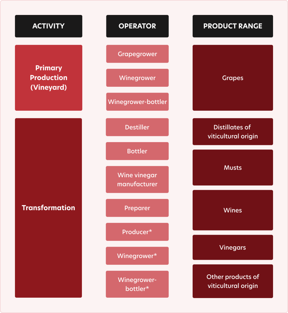 Table linking activities (Primary Production, Processing), operator types and the resulting product families, such as grapes, musts, wines, spirits and vinegars
