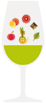 Garrafa de Vinho Verde Alvarinho